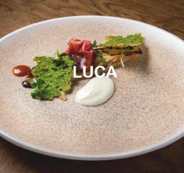 LUCA BLUE / SALMON 